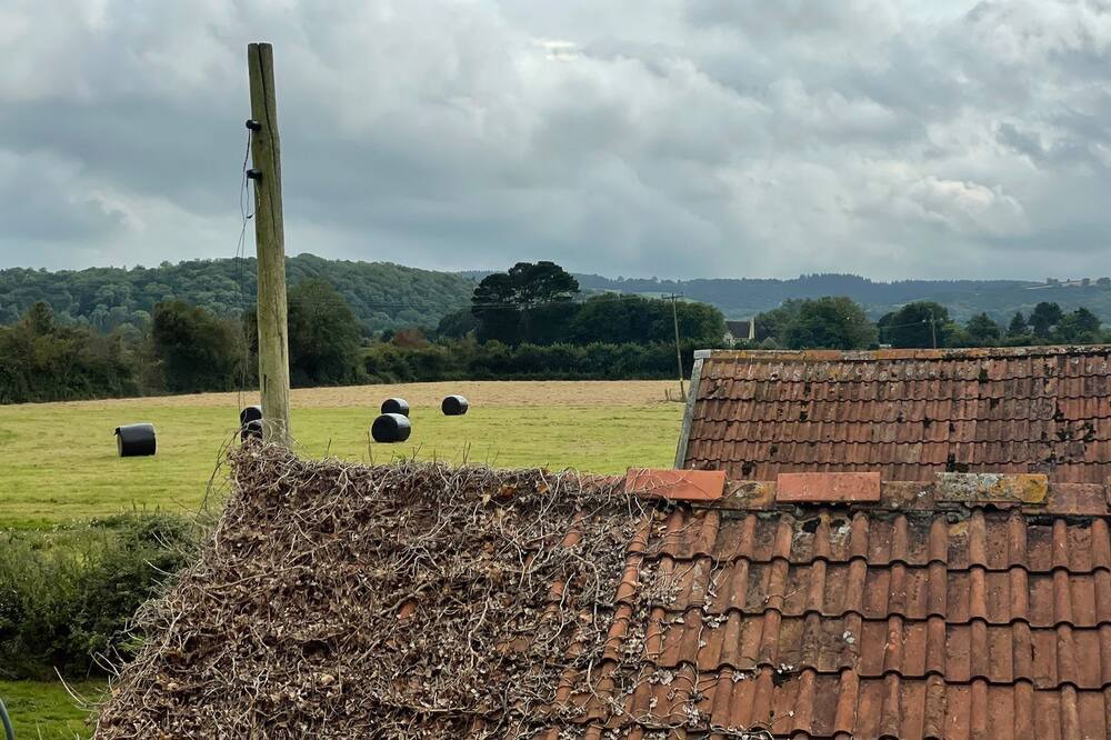 Photo of Outdoor in West Buckland