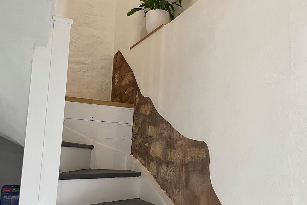 Photo of Others in West Buckland