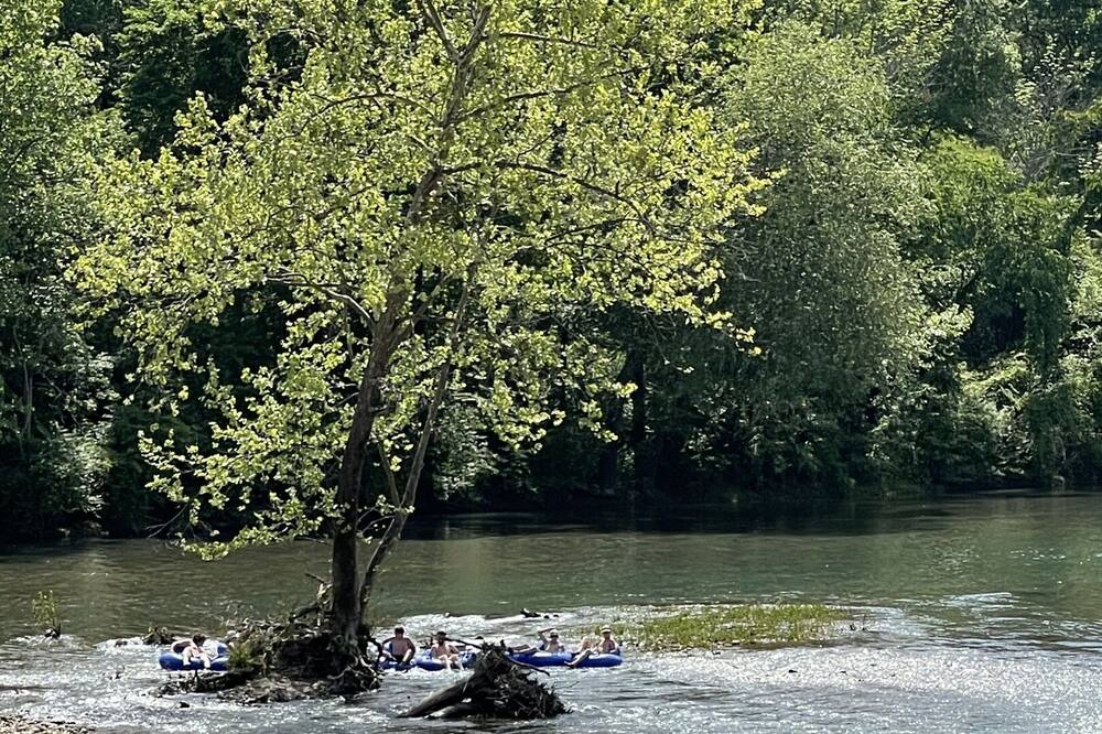 Photo of Others in Glenwood