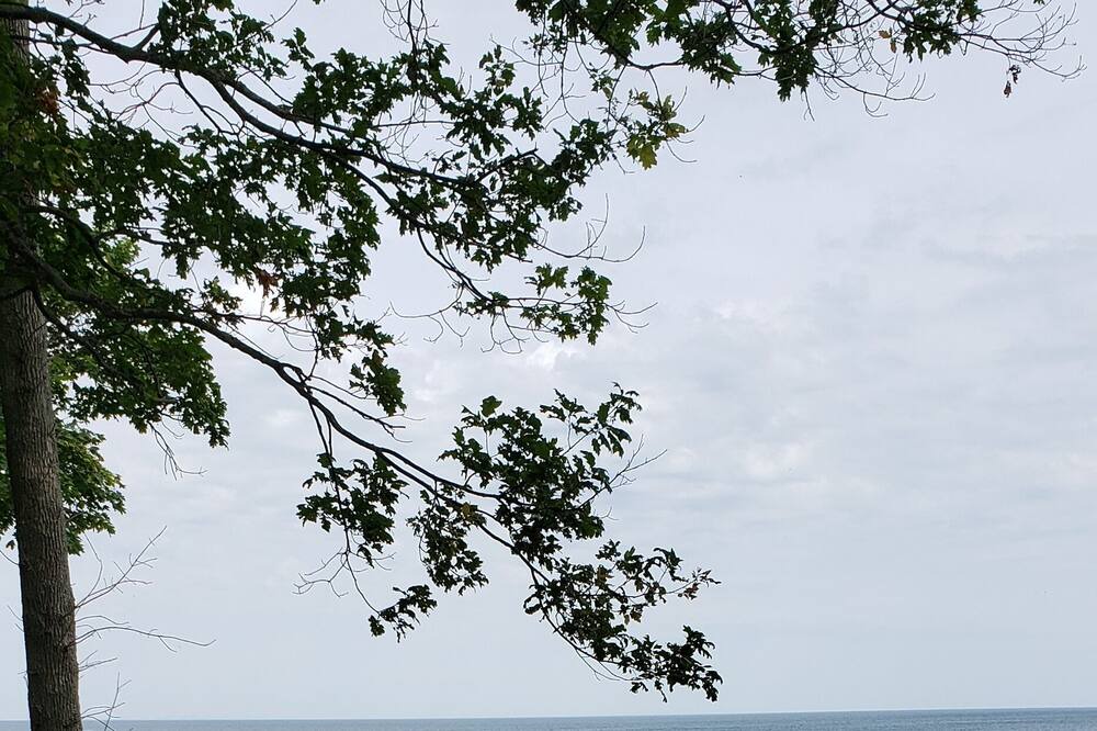 Photo of Others in Niagara County