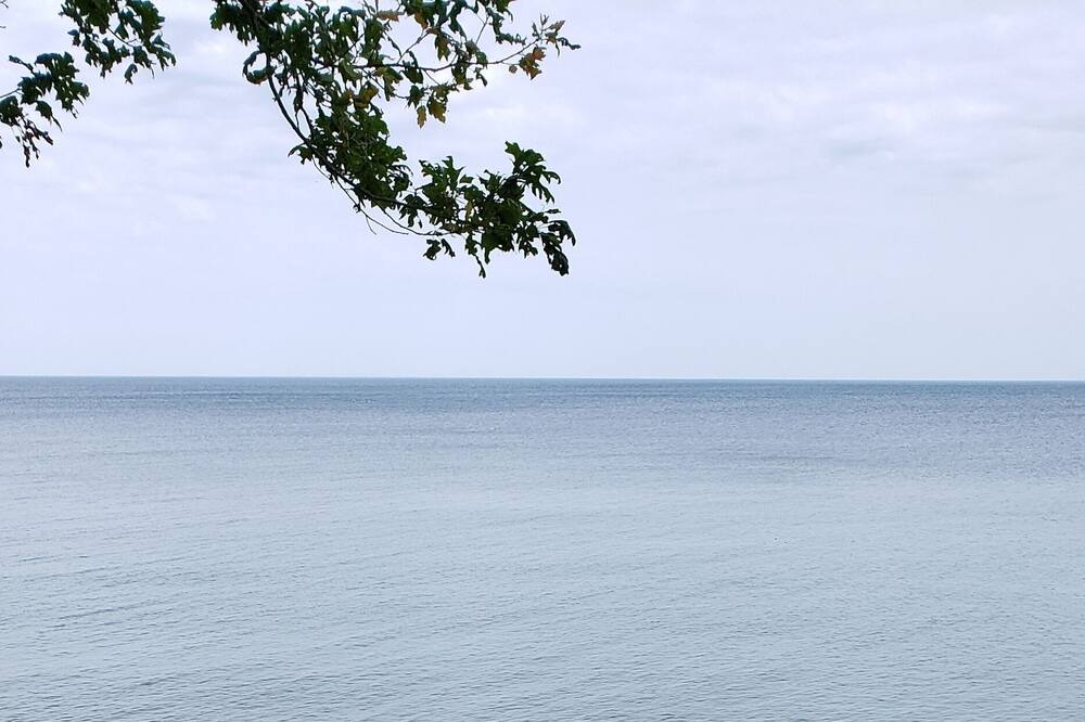 Photo of Others in Niagara County