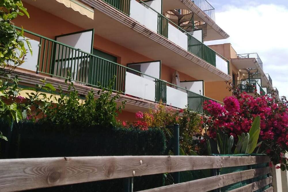 Photo of Outdoor in L'Eucaliptus