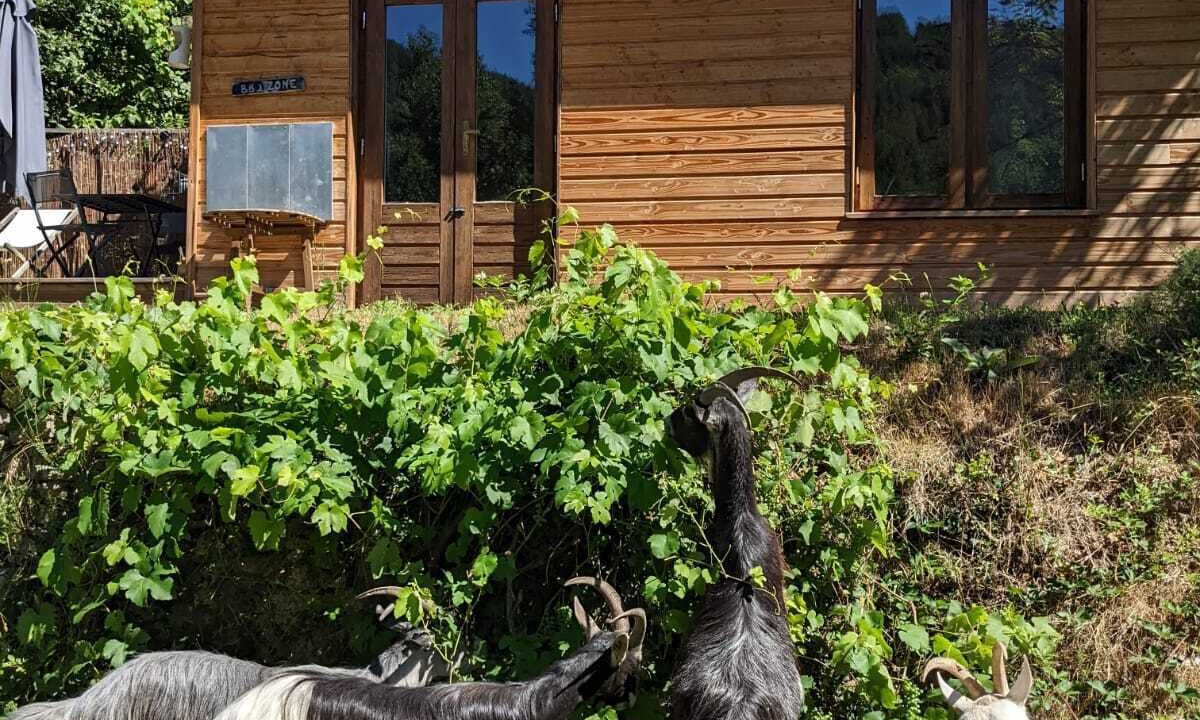 Photo of Outdoor in Brujas