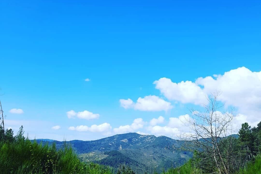 Photo of Others in Brujas