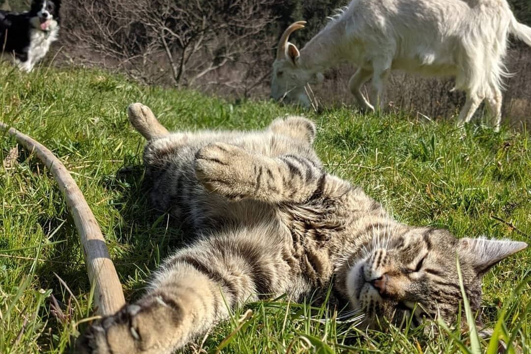 Photo of Outdoor in Brujas