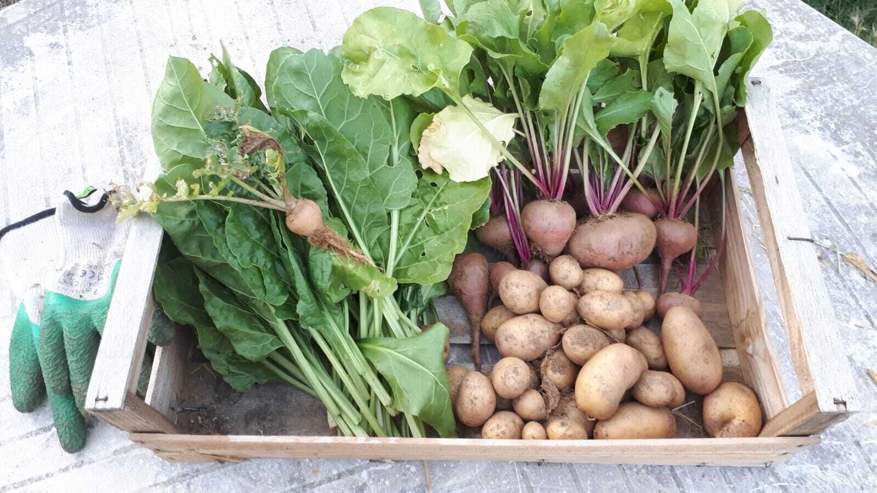 Photo of Outdoor in Brujas