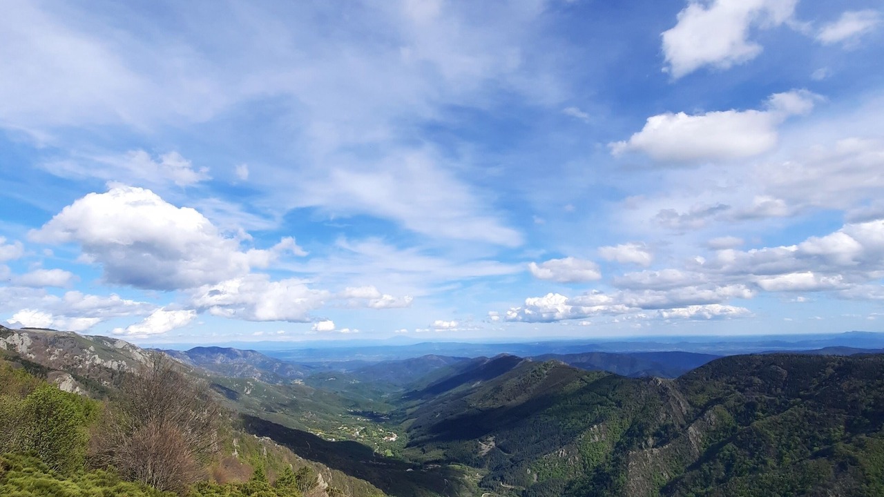 Photo of Others in Brujas