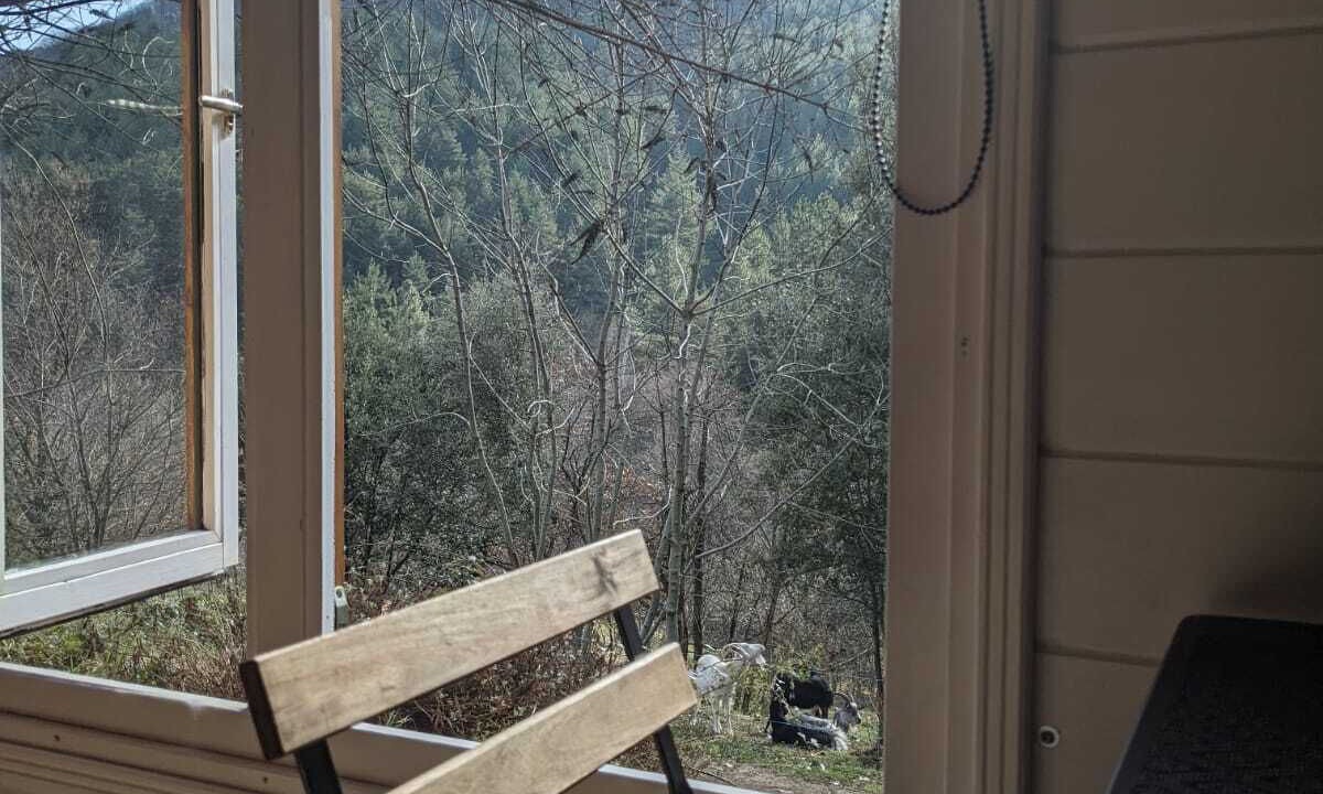 Photo of Others in Brujas