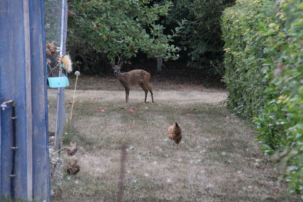 Photo of Others in Verdon