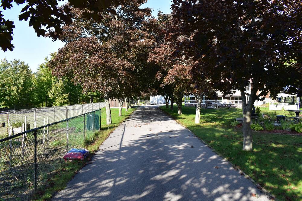 Photo of Outdoor in Sauble Beach