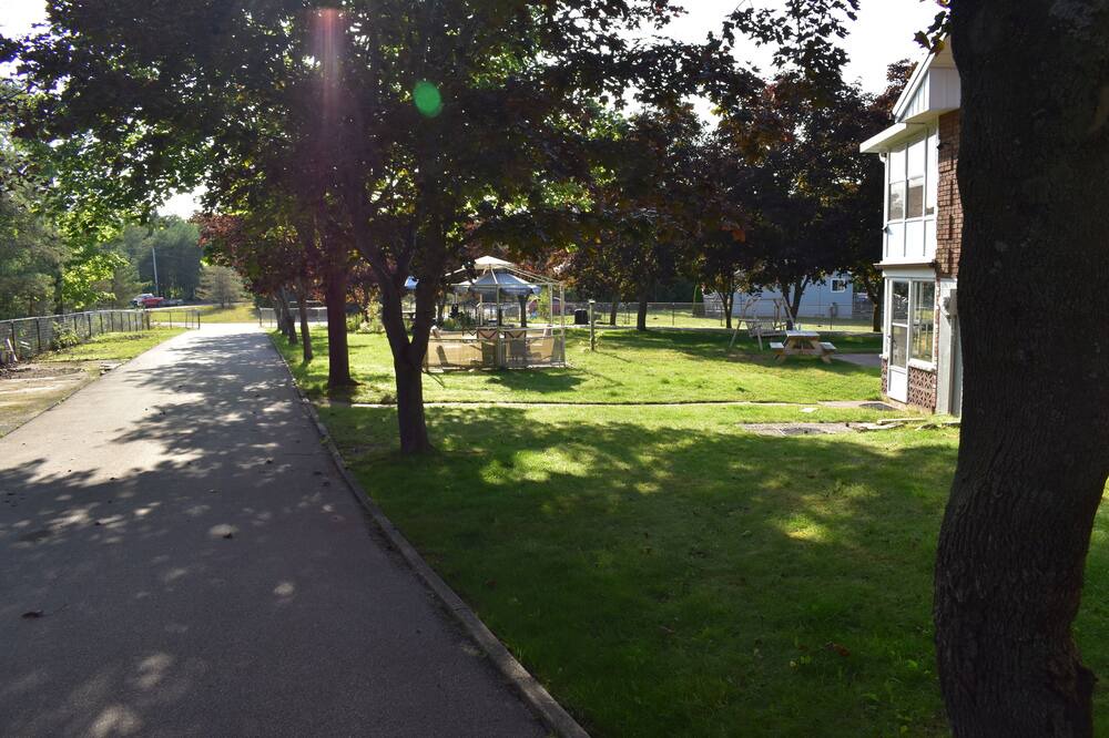 Photo of Outdoor in Sauble Beach