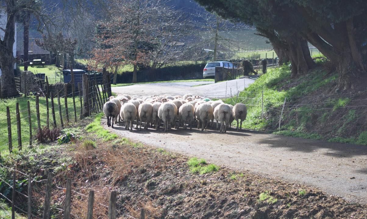 Photo of Outdoor in Alcay-Alcabehety-Sunharette