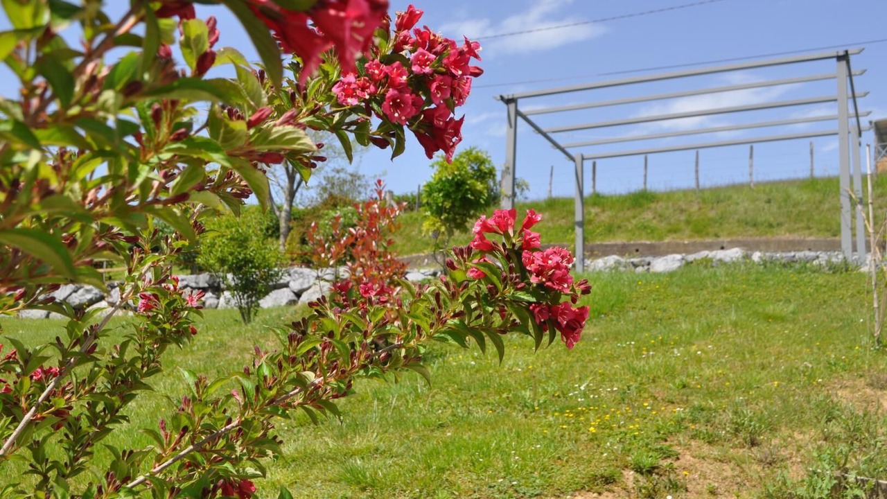 Photo of Outdoor in Alcay-Alcabehety-Sunharette