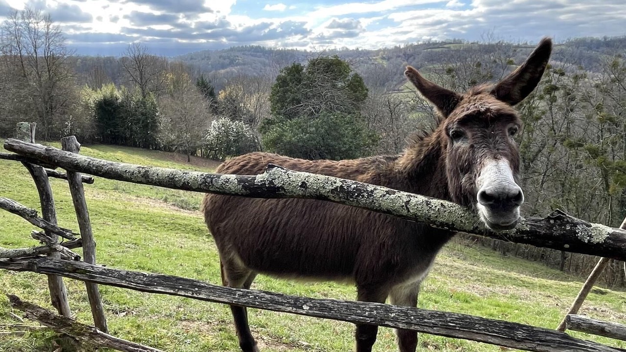 Photo of Others in Jurancon