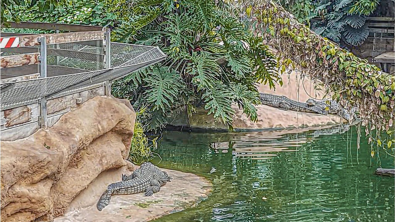 Photo of Outdoor in Pierrelatte
