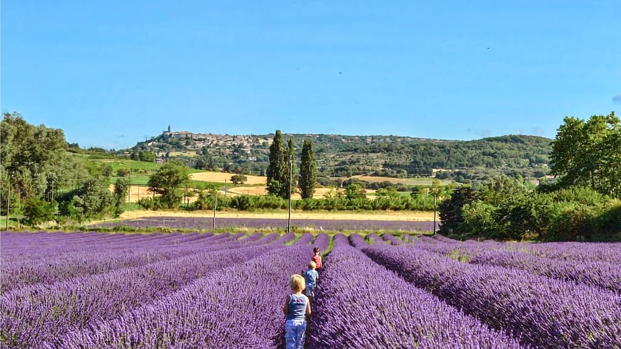 Photo of Outdoor in Pierrelatte