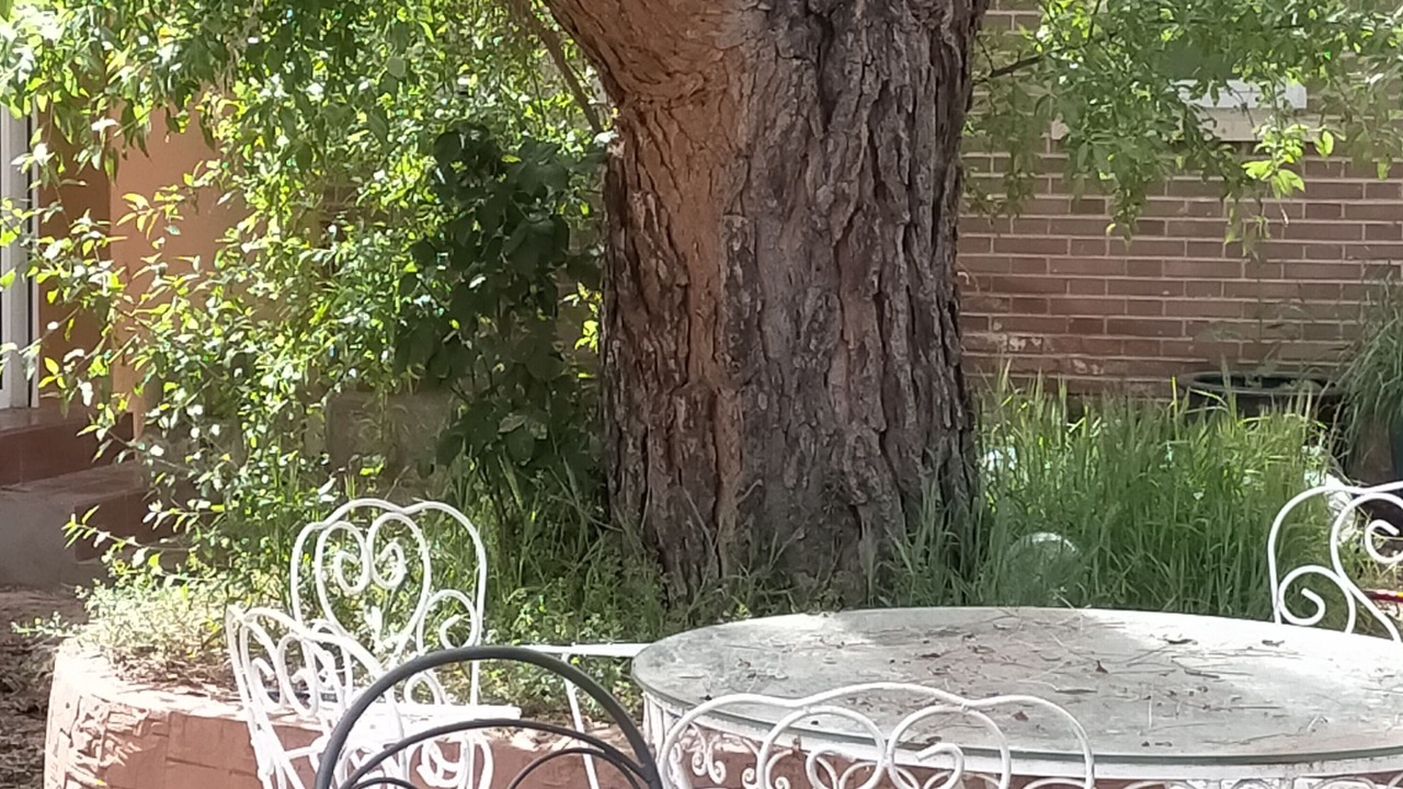 Photo of Outdoor in Algete