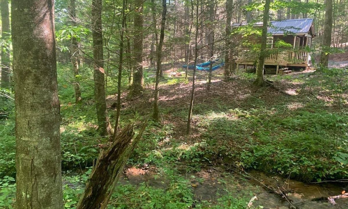 Photo of Outdoor in Suches