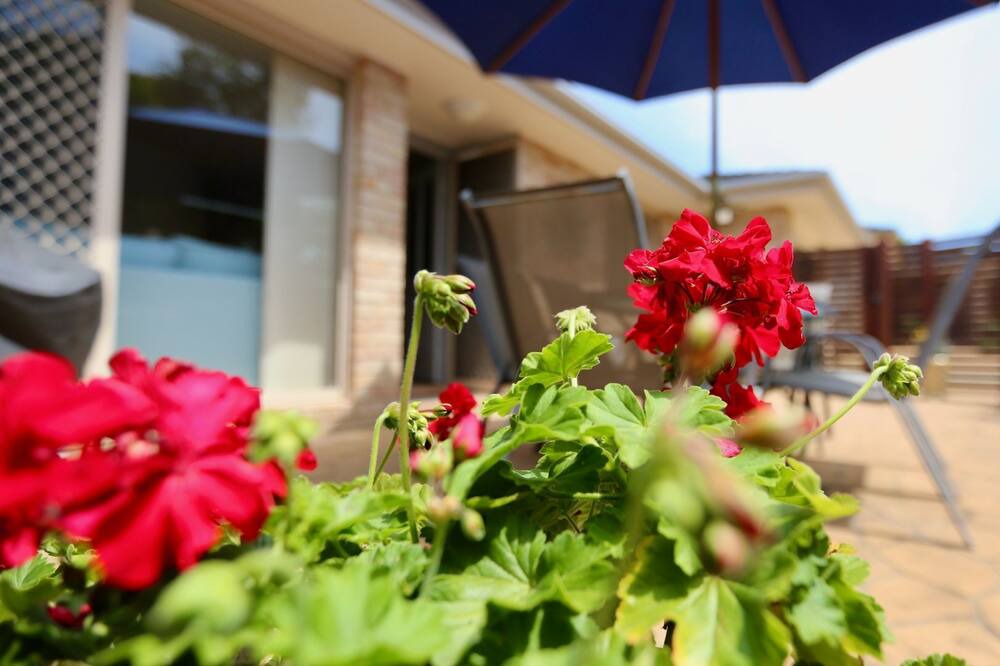 Photo of Outdoor in Huskisson