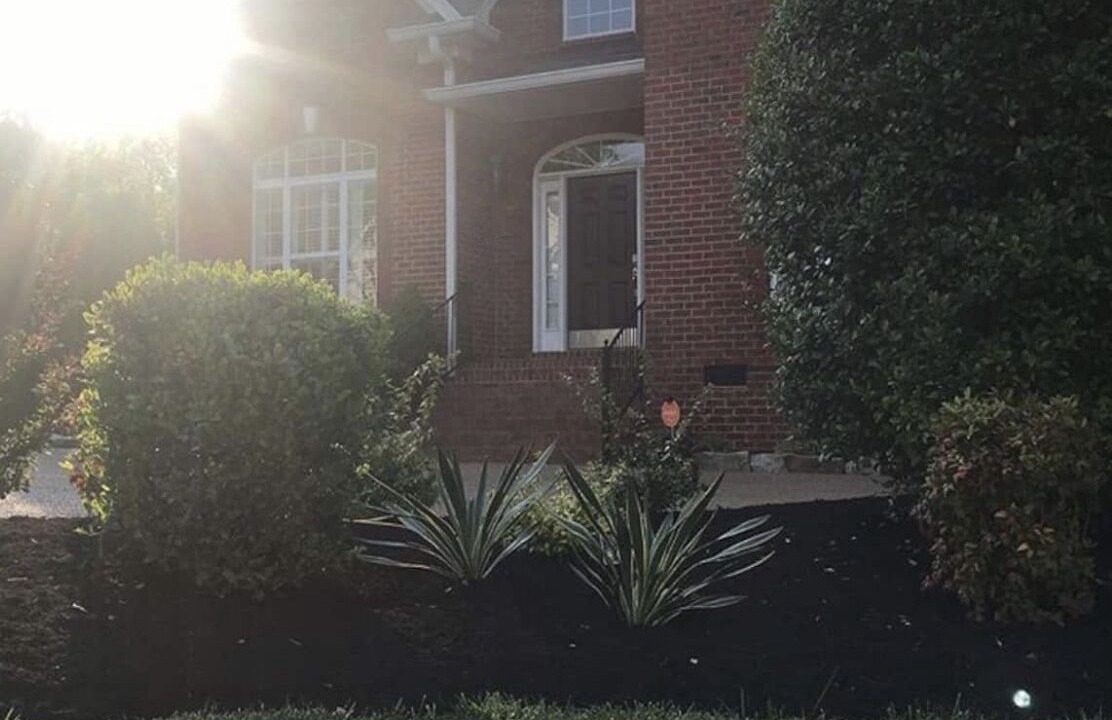 Photo of Outdoor in Brentwood