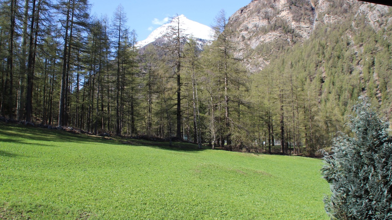 Photo of Outdoor in Randa