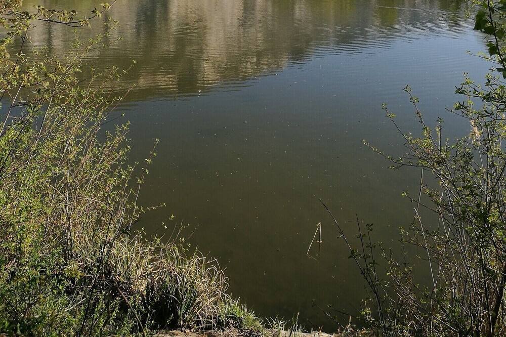 Photo of Others in Gaillard