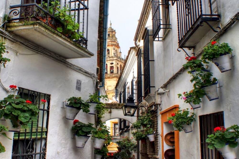 Photo of Outdoor in San Lorenzo