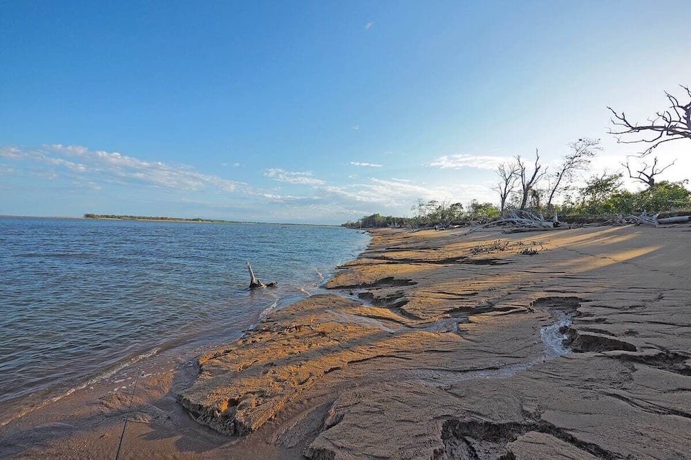 Photo of Others in Taylors Beach