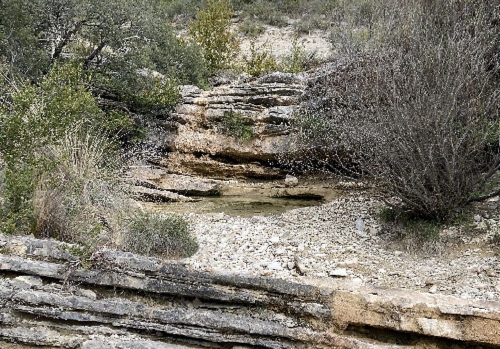 Photo of Outdoor in Ferrieres-les-Verreries