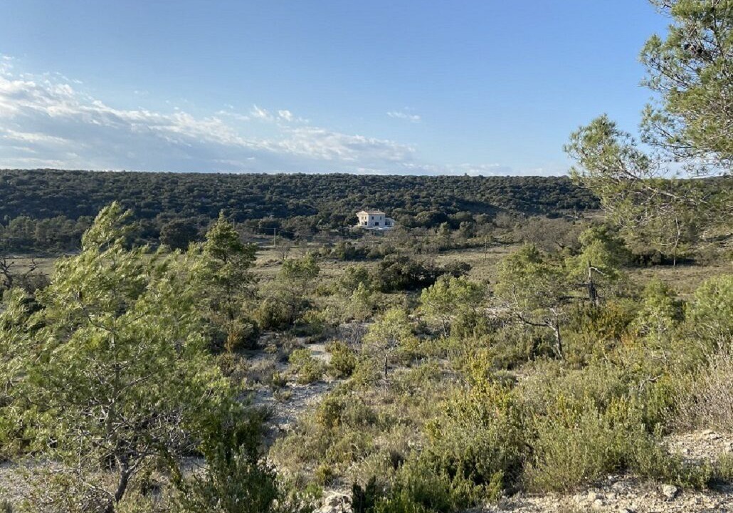 Photo of Others in Ferrieres-les-Verreries