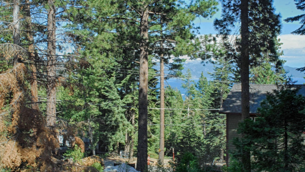Photo of Outdoor in Tahoe Vista