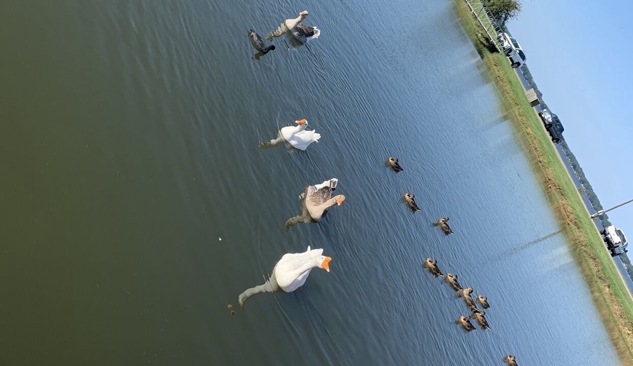 Photo of Others in Flint