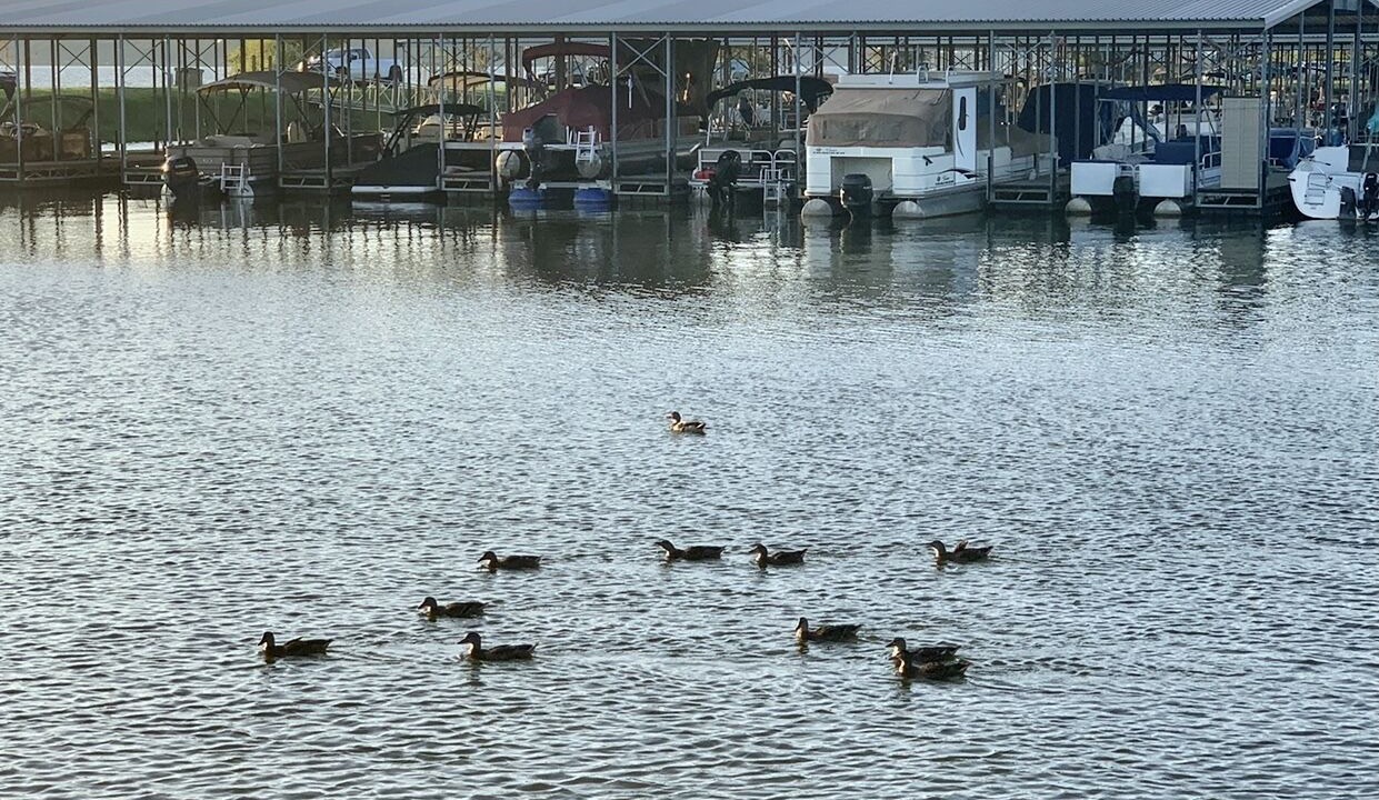 Photo of Outdoor in Flint