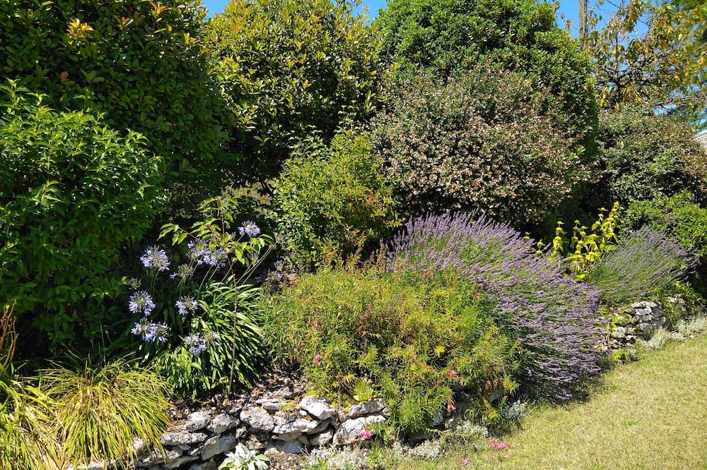 Photo of Outdoor in Saint-Eutrope-de-Born