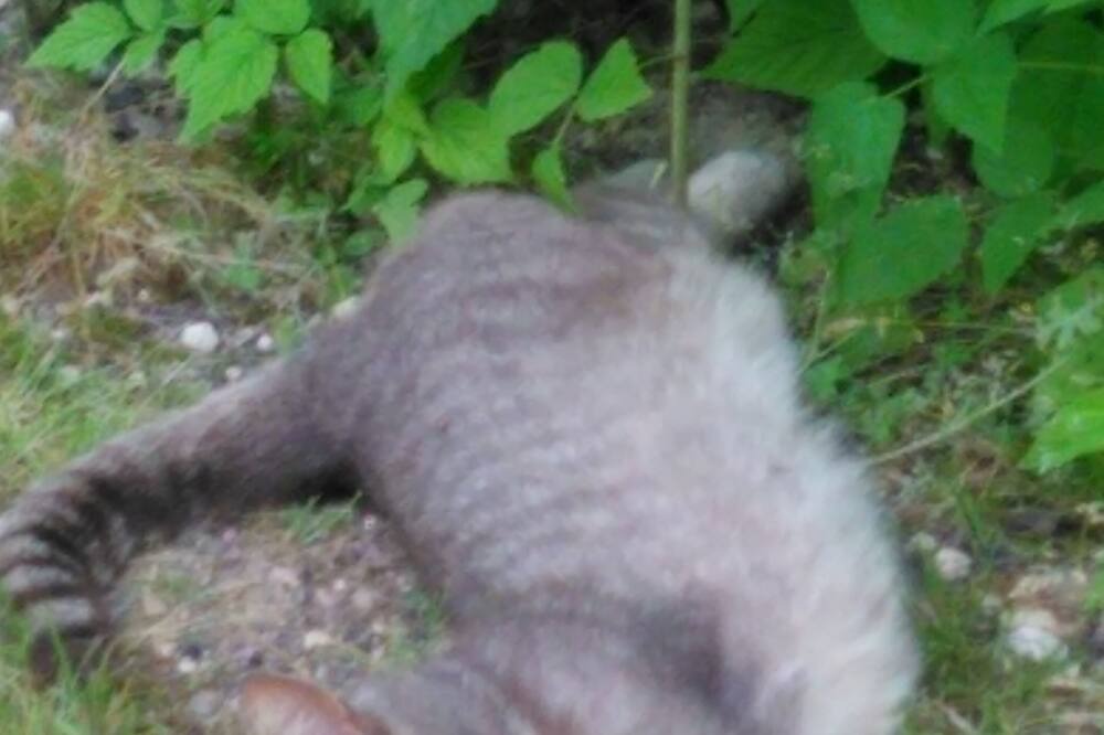 Photo of Outdoor in Saint-Eutrope-de-Born