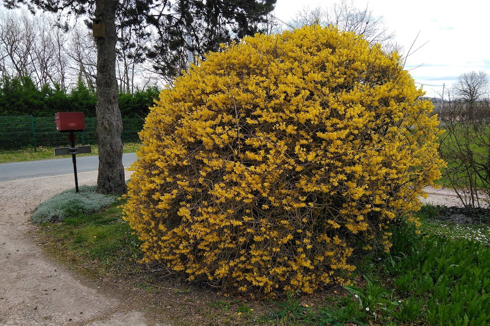 Photo of Outdoor in Saint-Eutrope-de-Born