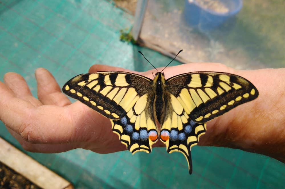 Photo of Others in Saint-Eutrope-de-Born