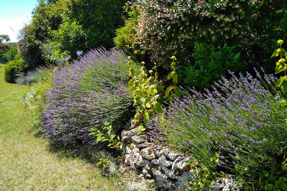 Photo of Outdoor in Saint-Eutrope-de-Born