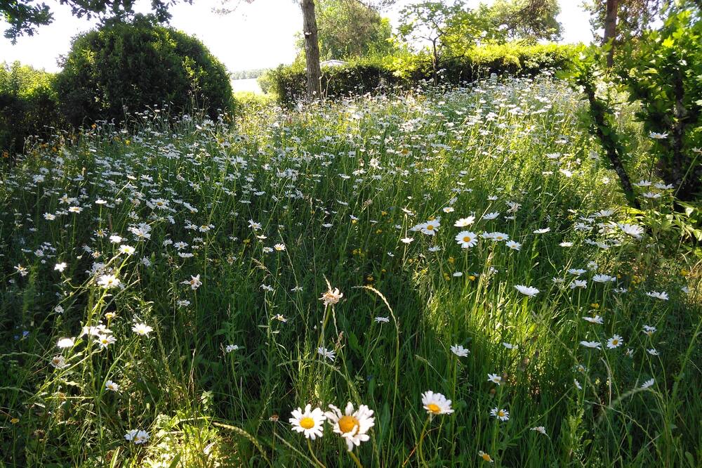 Photo of Outdoor in Saint-Eutrope-de-Born