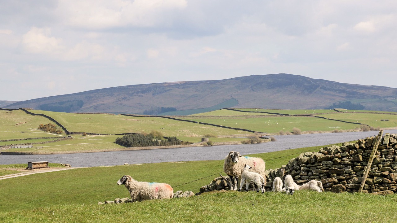 Photo of Others in Gargrave