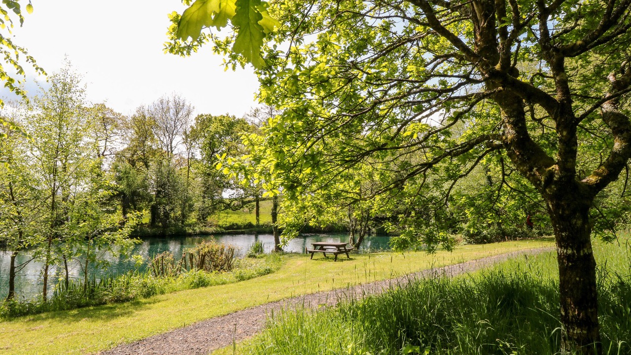 Photo of Others in Black Torrington