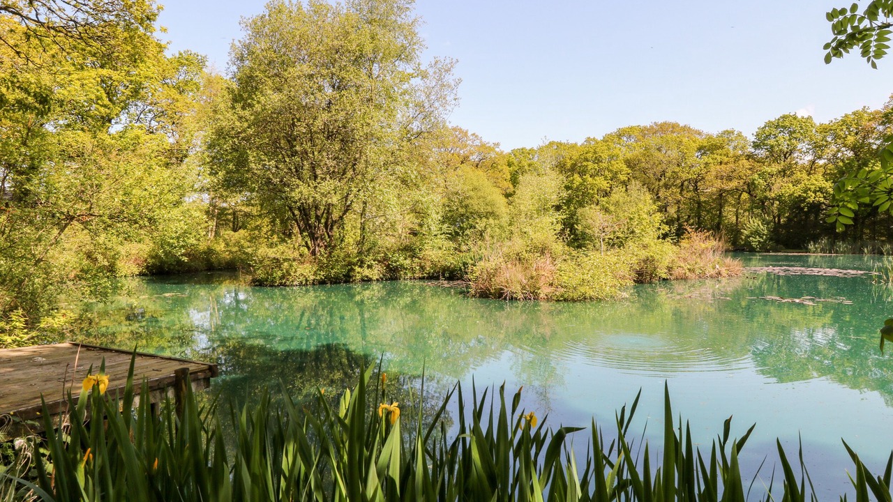 Photo of Others in Black Torrington