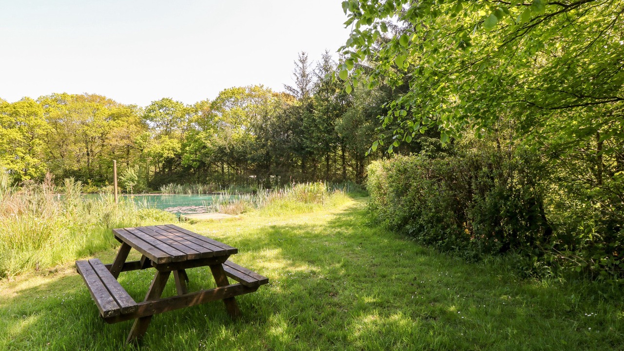 Photo of Others in Black Torrington