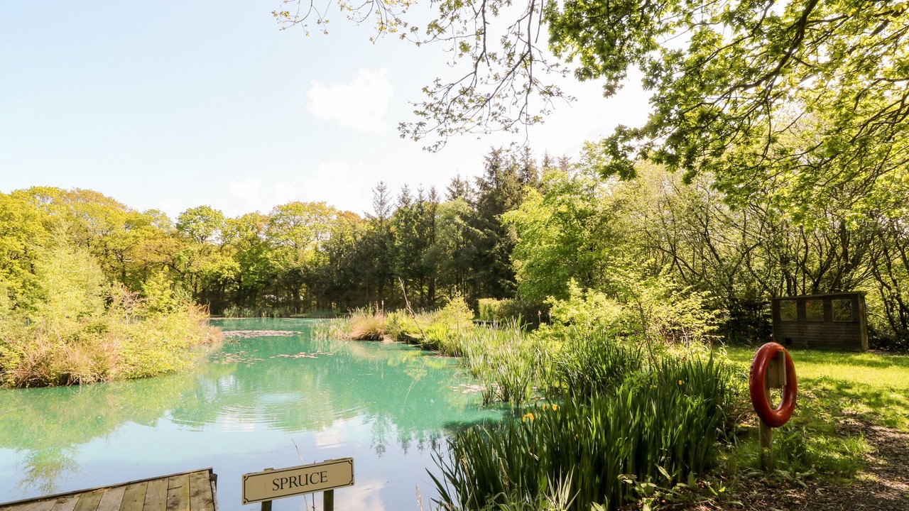 Photo of Others in Black Torrington