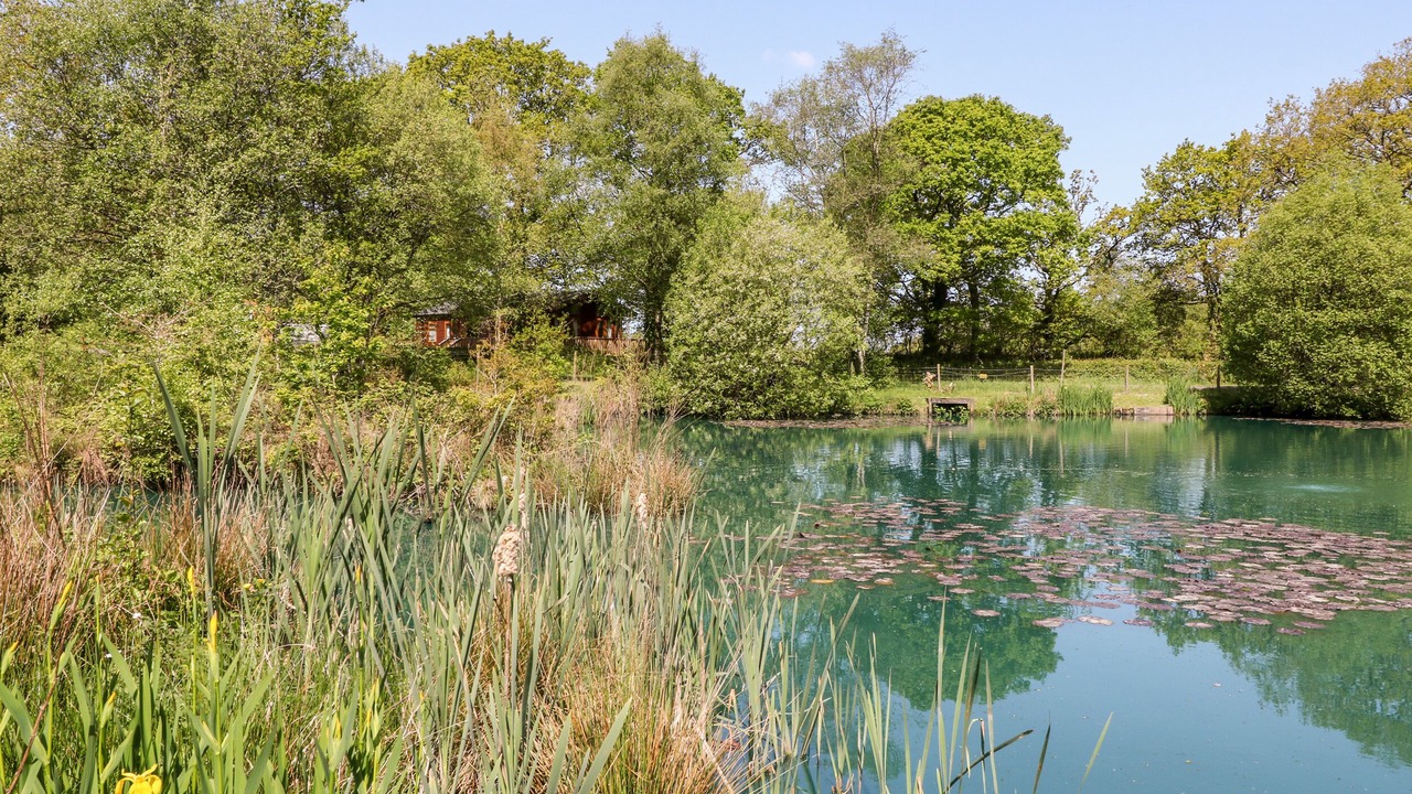 Photo of Others in Black Torrington