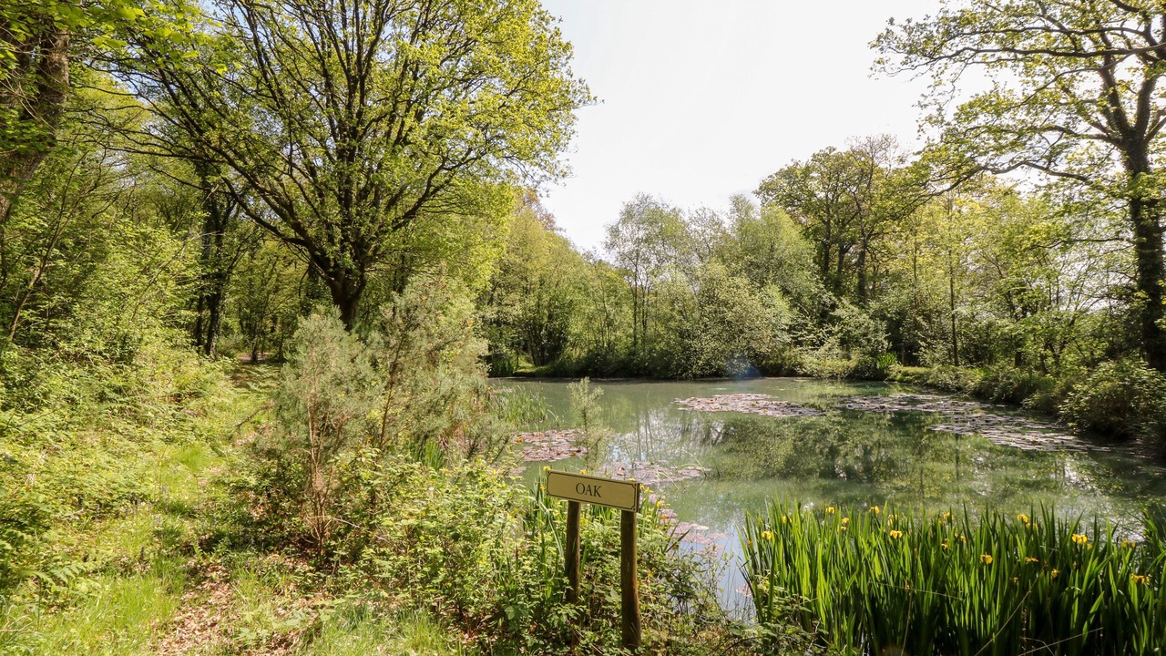 Photo of Others in Black Torrington