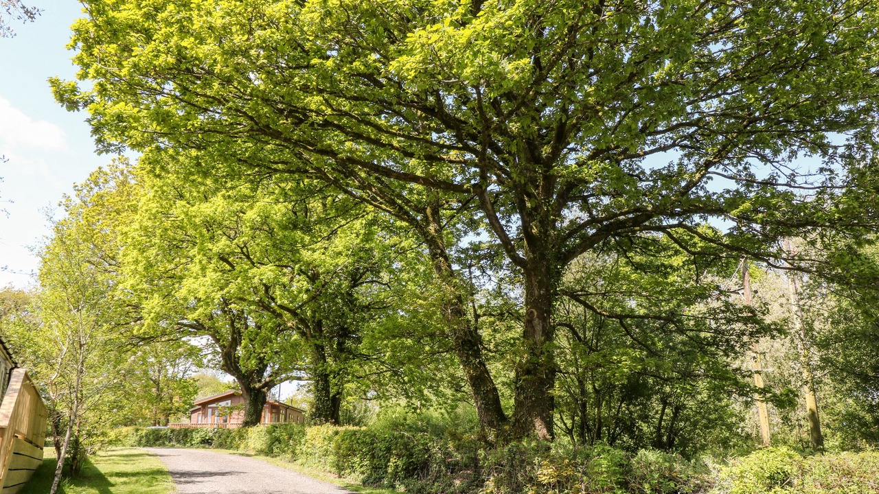 Photo of Others in Black Torrington