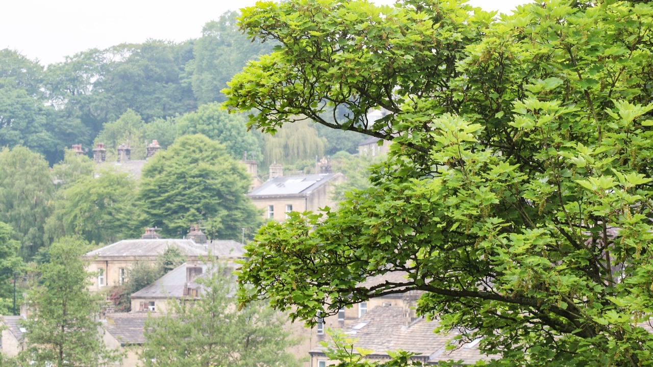 Photo of Others in Hepworth