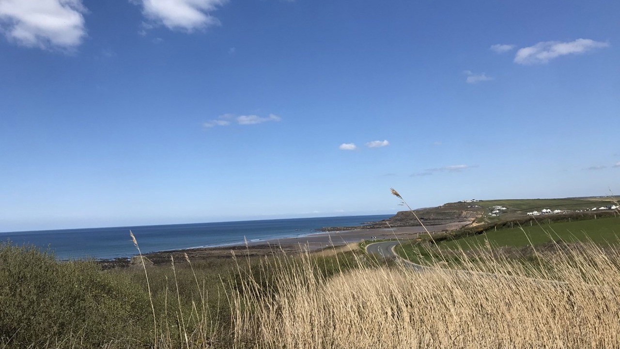 Photo of Others in Bude