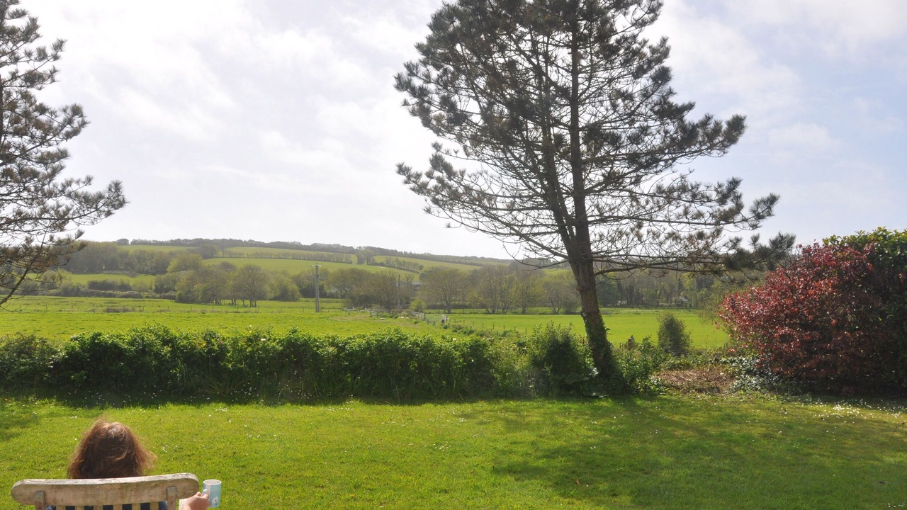 Photo of Others in Bude